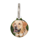 Search for photo pet tags Dogs