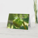 Search for spring time cards Pretty