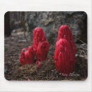 Search for snowing mousepads Nature