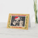 Search for pet seasonal cards Santa
