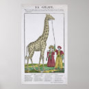 Search for presented posters Animal