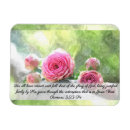 Search for pale pink magnets Pastel