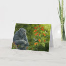 Search for mountain gorilla cards Rainforest