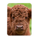 Search for meetings magnets Baby