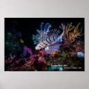 Search for luna posters Beautiful