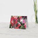 Search for wild one cards Pink