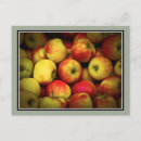 Search for apple postcards Fruit
