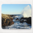 Search for cove electronics Ocean