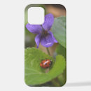 Search for ladybug cases Beetle