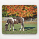 Search for horse ranch mousepads Country