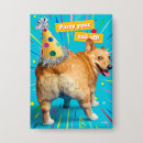 Search for press badges Birthday