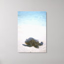 Search for waters edge canvas prints Nature
