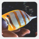 Search for coral reef stickers Yellow