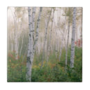 Search for new hampshire coasters Jaynes gallery