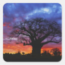 Search for african sunset stickers Tree
