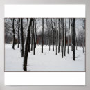 Search for black and white forest posters Winter