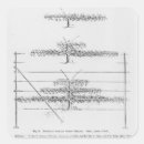 Search for garden state stickers Century