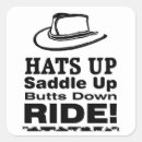Search for saddle stickers Rodeo