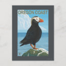 Search for tuft postcards Puffin
