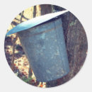 Search for maple tree stickers Photography