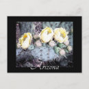 Search for digitally postcards Photography