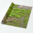 Search for moss wrapping paper Green