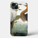 Search for artwork ipad cases John james audubon
