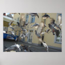 Search for flying dove art Pigeon