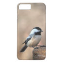 Search for chickadee iphone cases Black