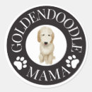 Search for goldendoodle stickers Cute dog