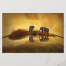 Search for elephant stationery paper Nature