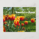 Search for spring postcards Netherlands