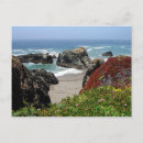 Search for bodega postcards Beach