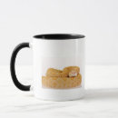 Search for albino mugs Reptile