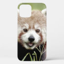 Search for kawaii cases Nature