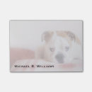 Search for dog note photography Bulldog