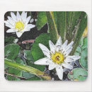 Search for zen meditation mousepads Buddhism