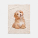 Search for havanese blankets Dog