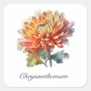 Search for chrysanthemums stickers Botanical