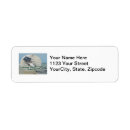 Search for new jersey return address labels Ocean