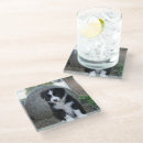 Search for border collie coasters Pet
