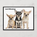 Search for pedigree cards invites Cute