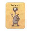 Search for weasel magnets Ferret