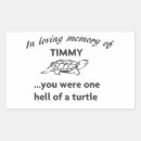 Search for timmy Turtle