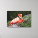Search for three quarter length canvas prints Horizontal