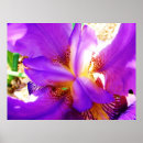 Search for zooming posters Bright