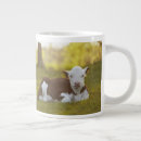 Search for resting mugs Animal