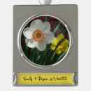 Search for daffodil christmas tree decorations Nature