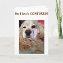 Search for like a sister birthday cards Sister in law