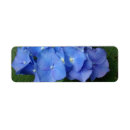 Search for pink hydrangea return address labels Garden